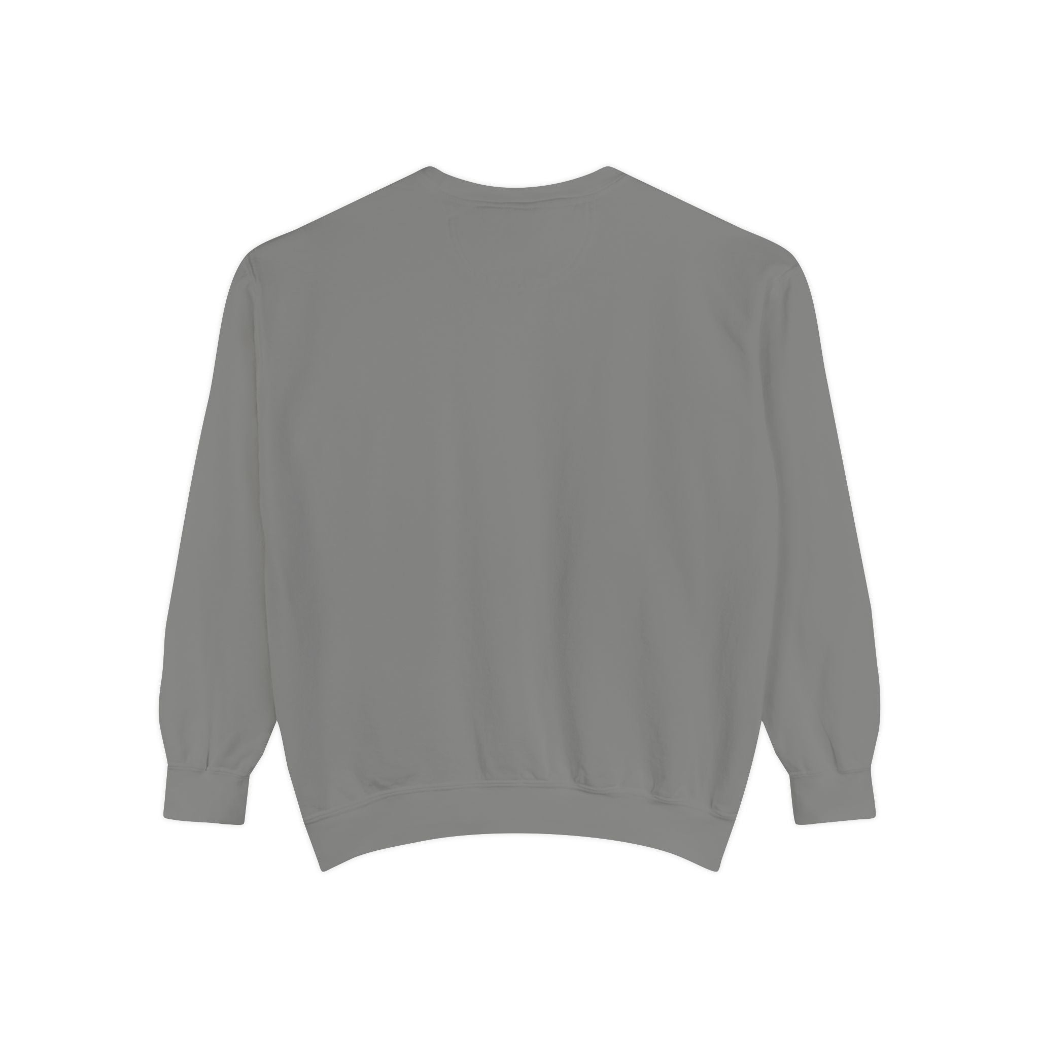 CAST STEM Unisex Garment-Dyed Sweatshirt | Casual & Comfy | Perfect for Tech Enthusiasts & Everyday Wear