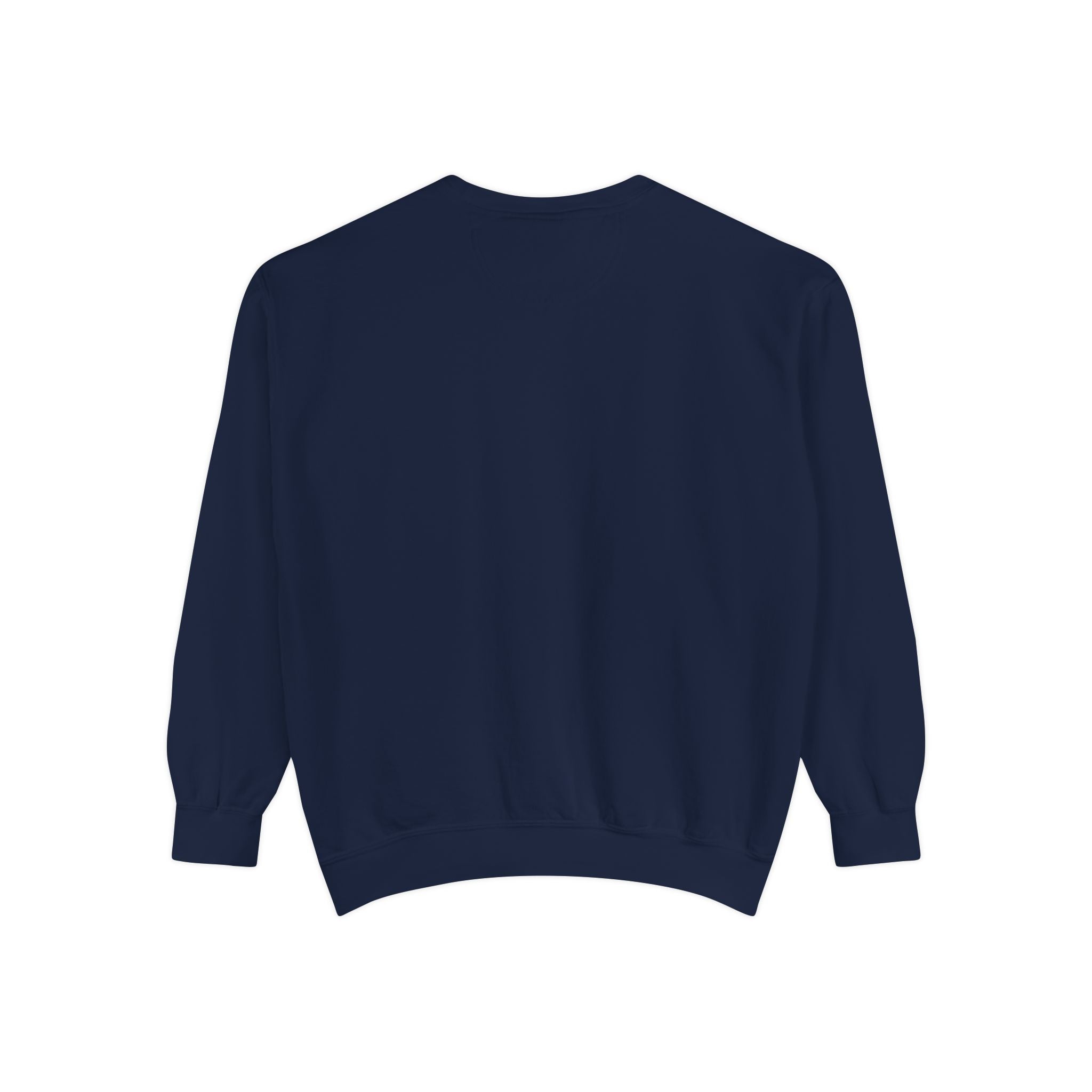Advanced Learning Academy Unisex Garment-Dyed Sweatshirt | Casual & Comfy | Perfect for Tech Enthusiasts & Everyday Wear